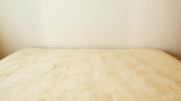 10 signes révélateurs d'un nid de punaise de lit chez vous